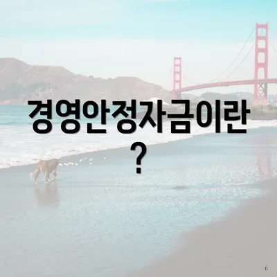 경영안정자금이란?