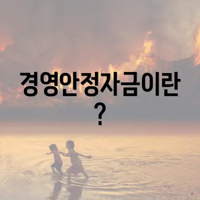 경영안정자금이란?