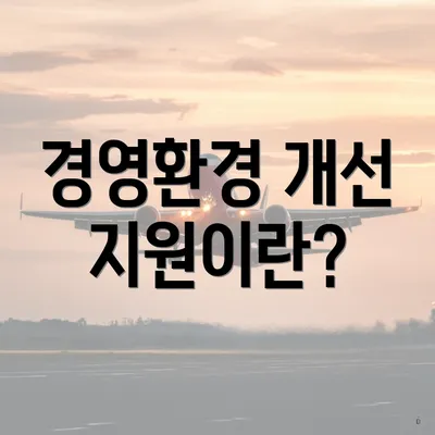 경영환경 개선 지원이란?