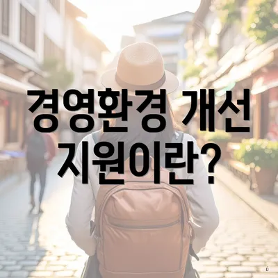 경영환경 개선 지원이란?