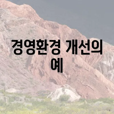 경영환경 개선의 예