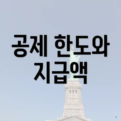 공제 한도와 지급액