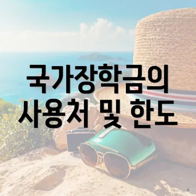 국가장학금의 사용처 및 한도