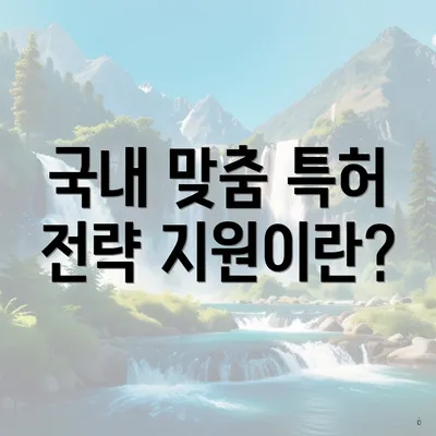 국내 맞춤 특허 전략 지원이란?
