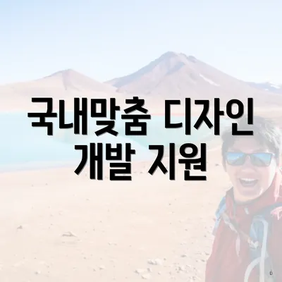 국내맞춤 디자인 개발 지원