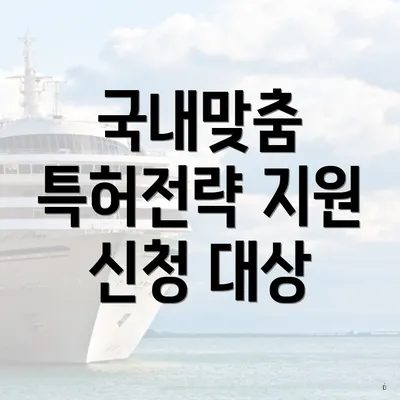 국내맞춤 특허전략 지원 신청 대상