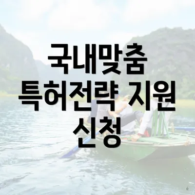 국내맞춤 특허전략 지원 신청