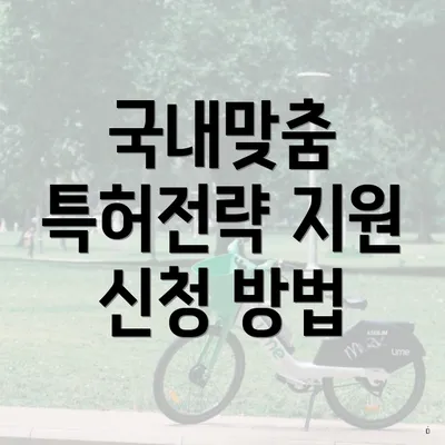 국내맞춤 특허전략 지원 신청 방법