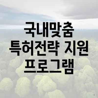 국내맞춤 특허전략 지원 프로그램