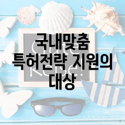 국내맞춤 특허전략 지원의 대상