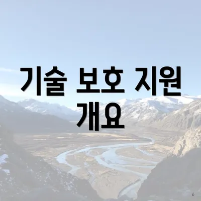 기술 보호 지원 개요