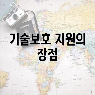 기술보호 지원의 장점