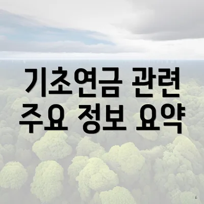 기초연금 관련 주요 정보 요약
