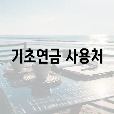 기초연금 사용처