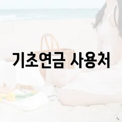 기초연금 사용처