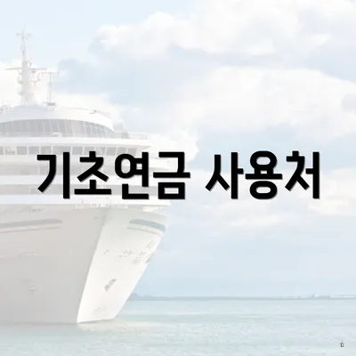 기초연금 사용처