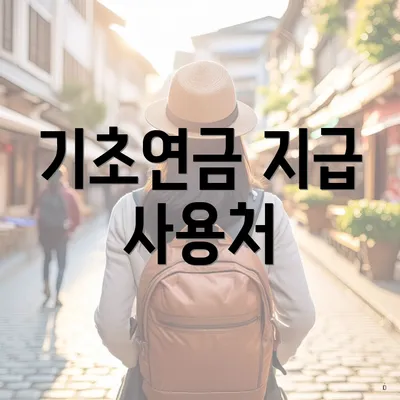 기초연금 지급 사용처