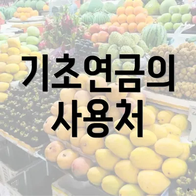 기초연금의 사용처