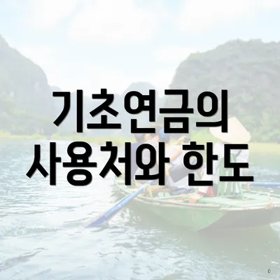 기초연금의 사용처와 한도