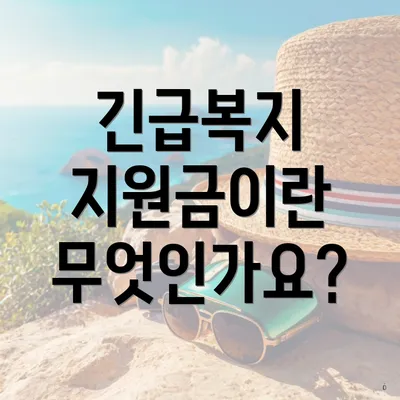 긴급복지 지원금이란 무엇인가요?
