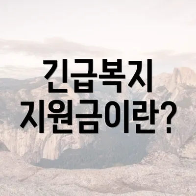긴급복지 지원금이란?