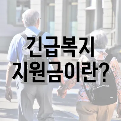 긴급복지 지원금이란?