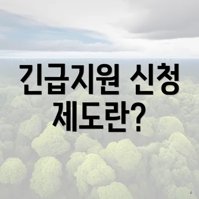 긴급지원 신청 제도란?