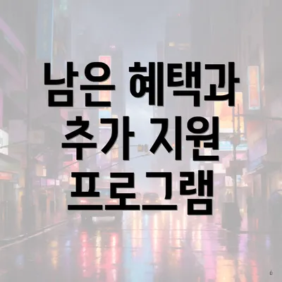 남은 혜택과 추가 지원 프로그램