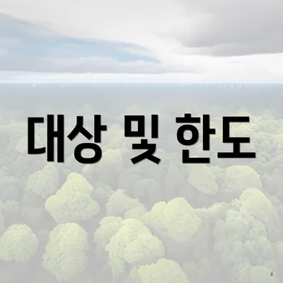 대상 및 한도