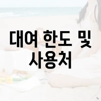 대여 한도 및 사용처