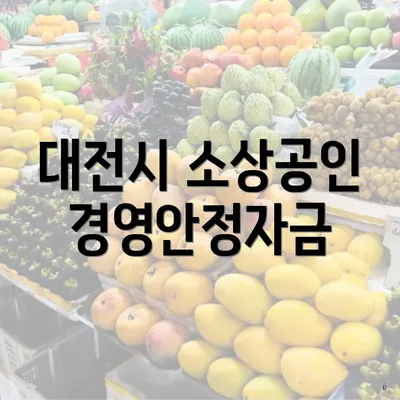 대전시 소상공인 경영안정자금