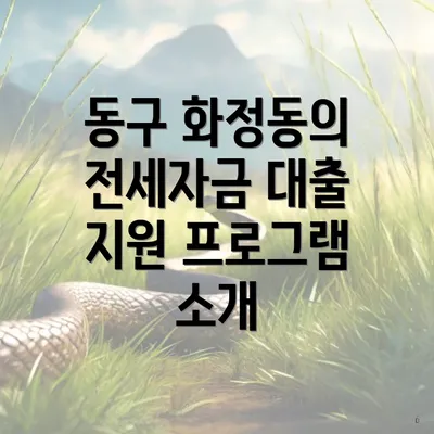 동구 화정동의 전세자금 대출 지원 프로그램 소개