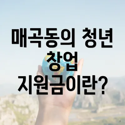 매곡동의 청년 창업 지원금이란?
