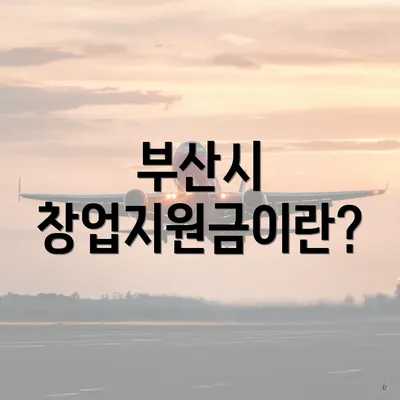 부산시 창업지원금이란?