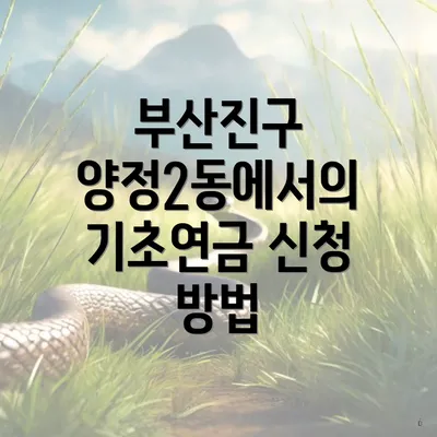 부산진구 양정2동에서의 기초연금 신청 방법