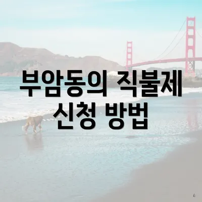 부암동의 직불제 신청 방법