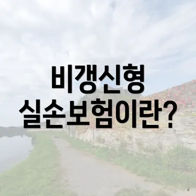 비갱신형 실손보험이란?