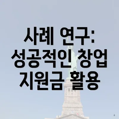 사례 연구: 성공적인 창업 지원금 활용
