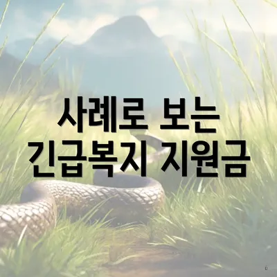 사례로 보는 긴급복지 지원금