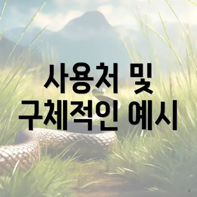 사용처 및 구체적인 예시