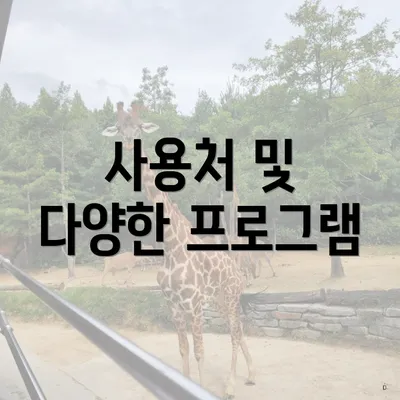 사용처 및 다양한 프로그램