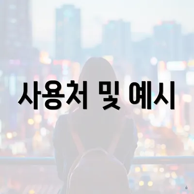 사용처 및 예시