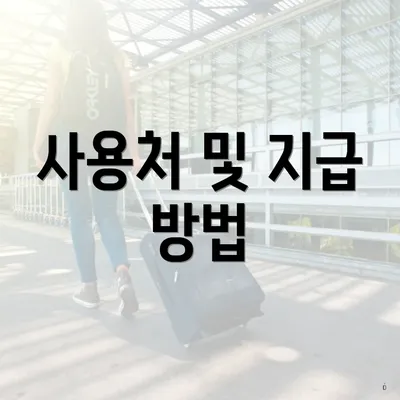 사용처 및 지급 방법