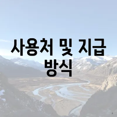 사용처 및 지급 방식