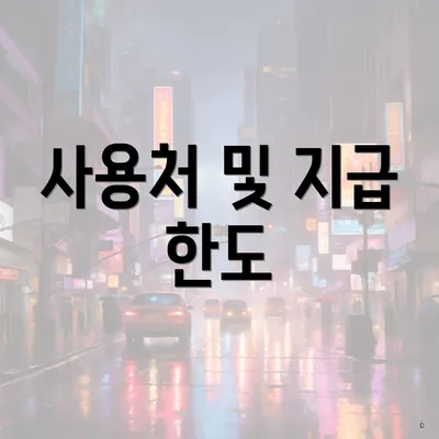 사용처 및 지급 한도
