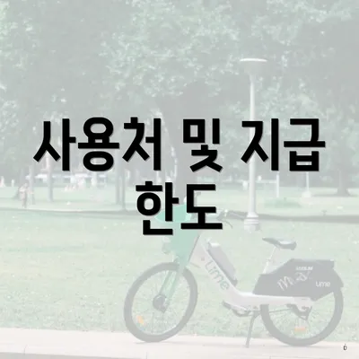사용처 및 지급 한도
