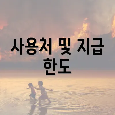 사용처 및 지급 한도