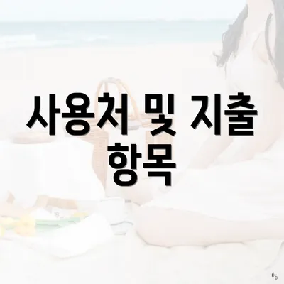 사용처 및 지출 항목