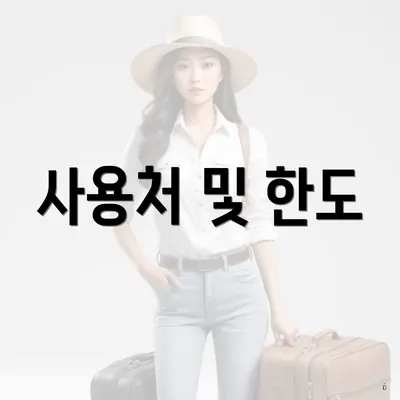사용처 및 한도