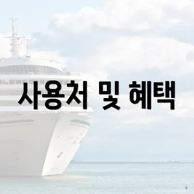 사용처 및 혜택